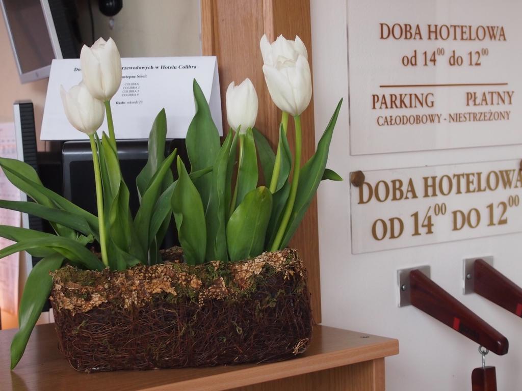 Colibra Варшава